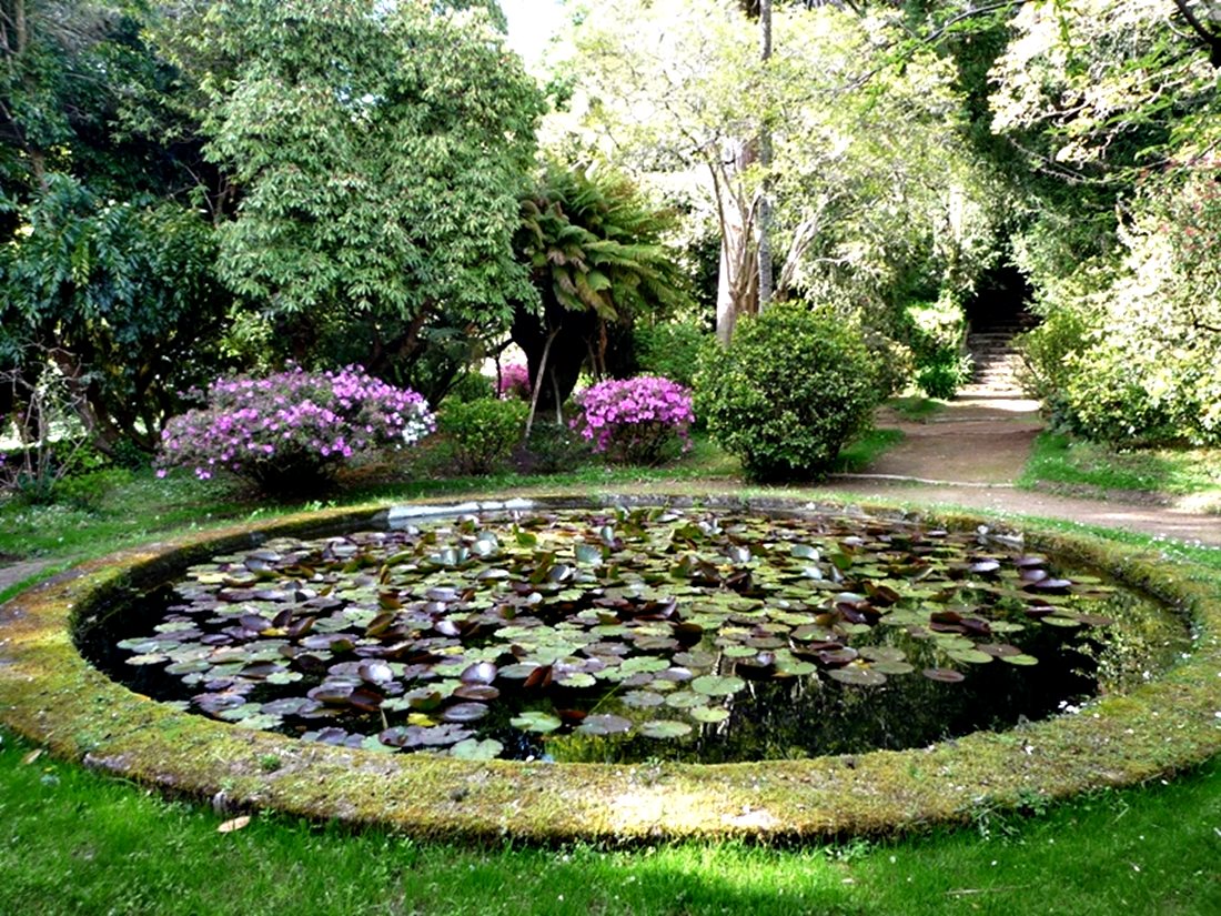 El Estanque Redondo