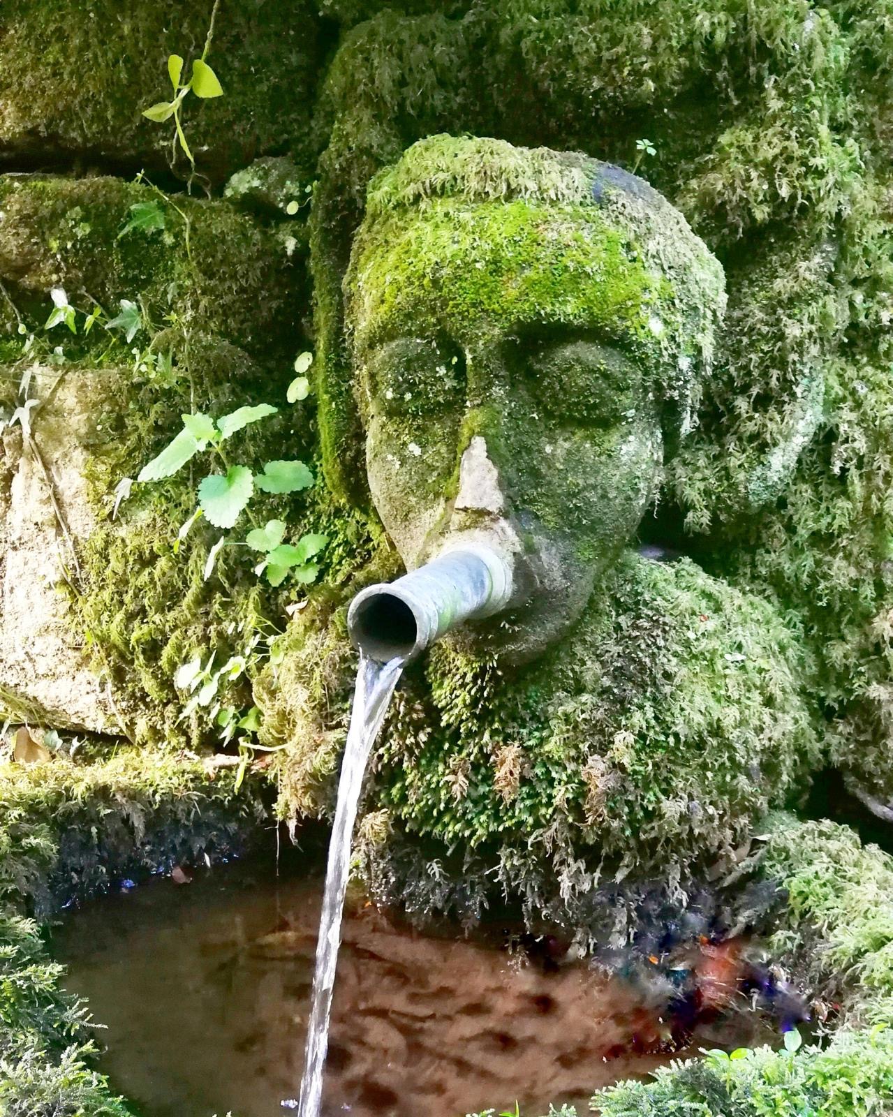 Fuente de la Coca